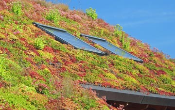 Kennythorpe living roof systems