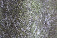 Kennythorpe fibreglass roof work